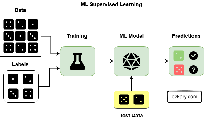 Discovering Machine Language a Primer Guide: Supervised Learning